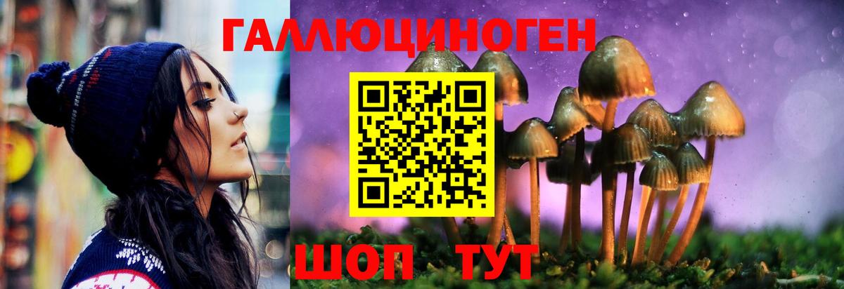 Галлюциногенные грибы Psilocybe  Псилоцибиновые грибы GOLDEN TEACHER  Вход с VPN  Ишим 