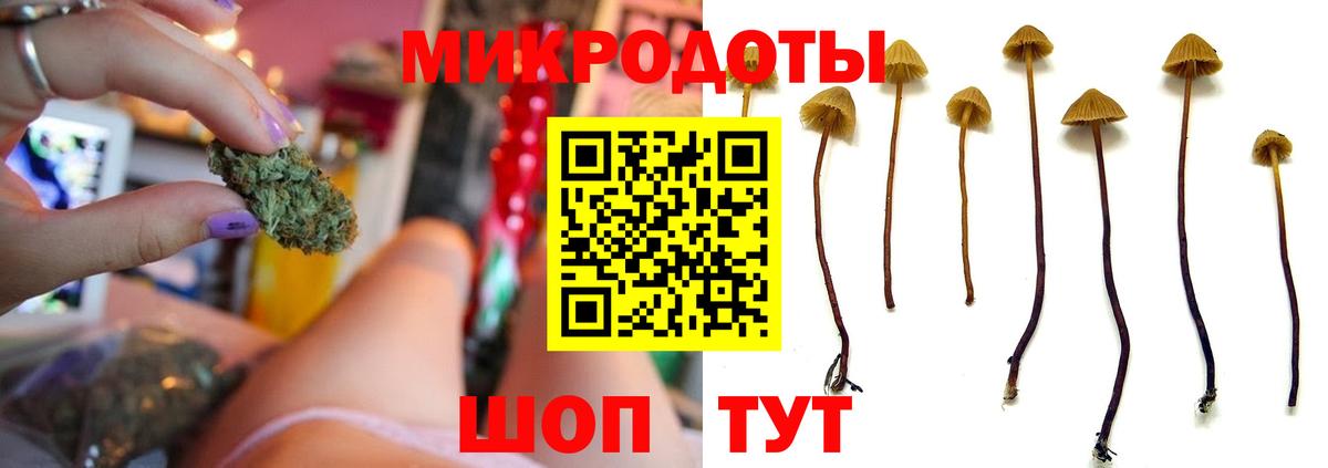 Галлюциногенные грибы Cubensis Ишим